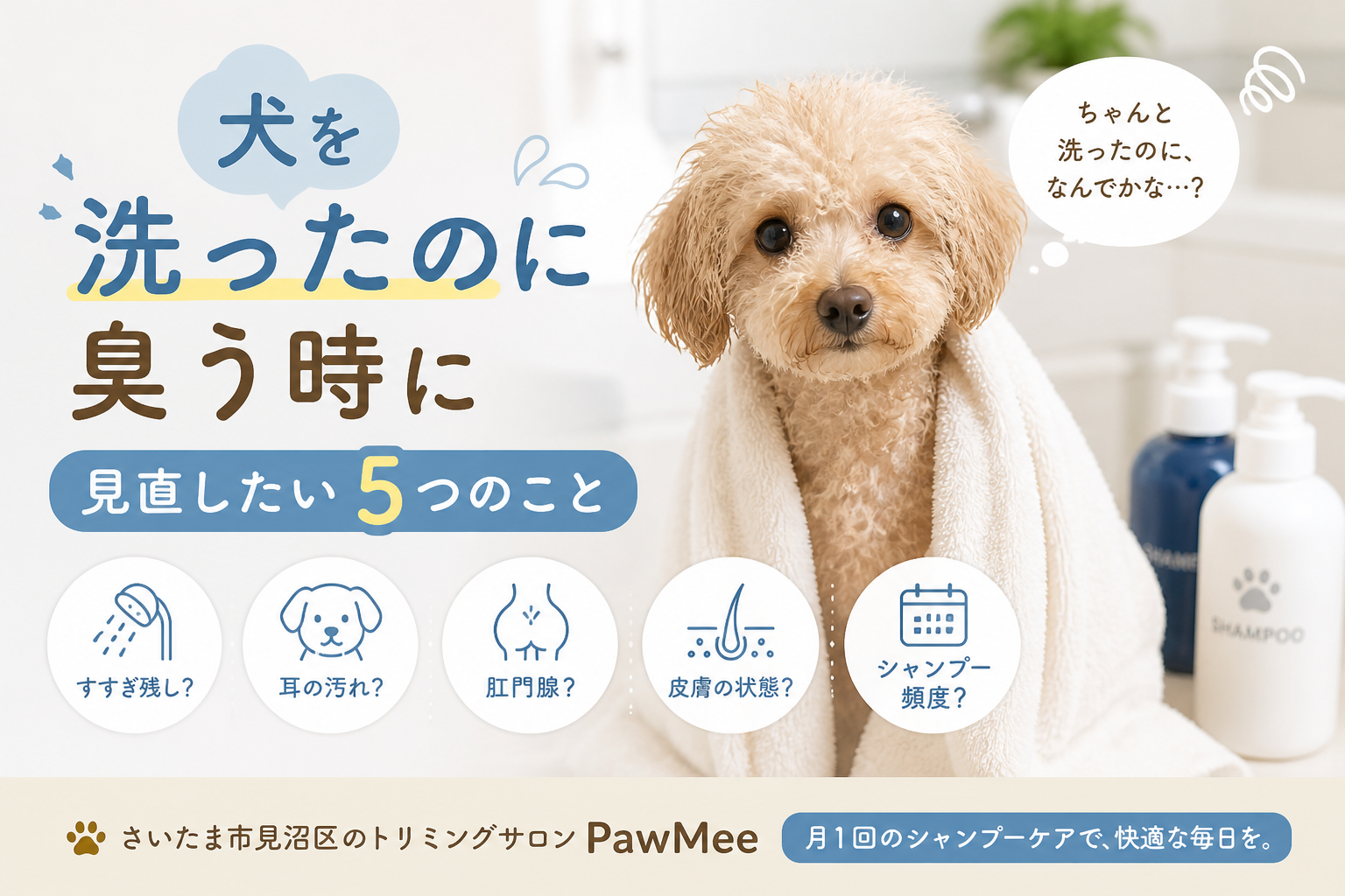 ダウンロード