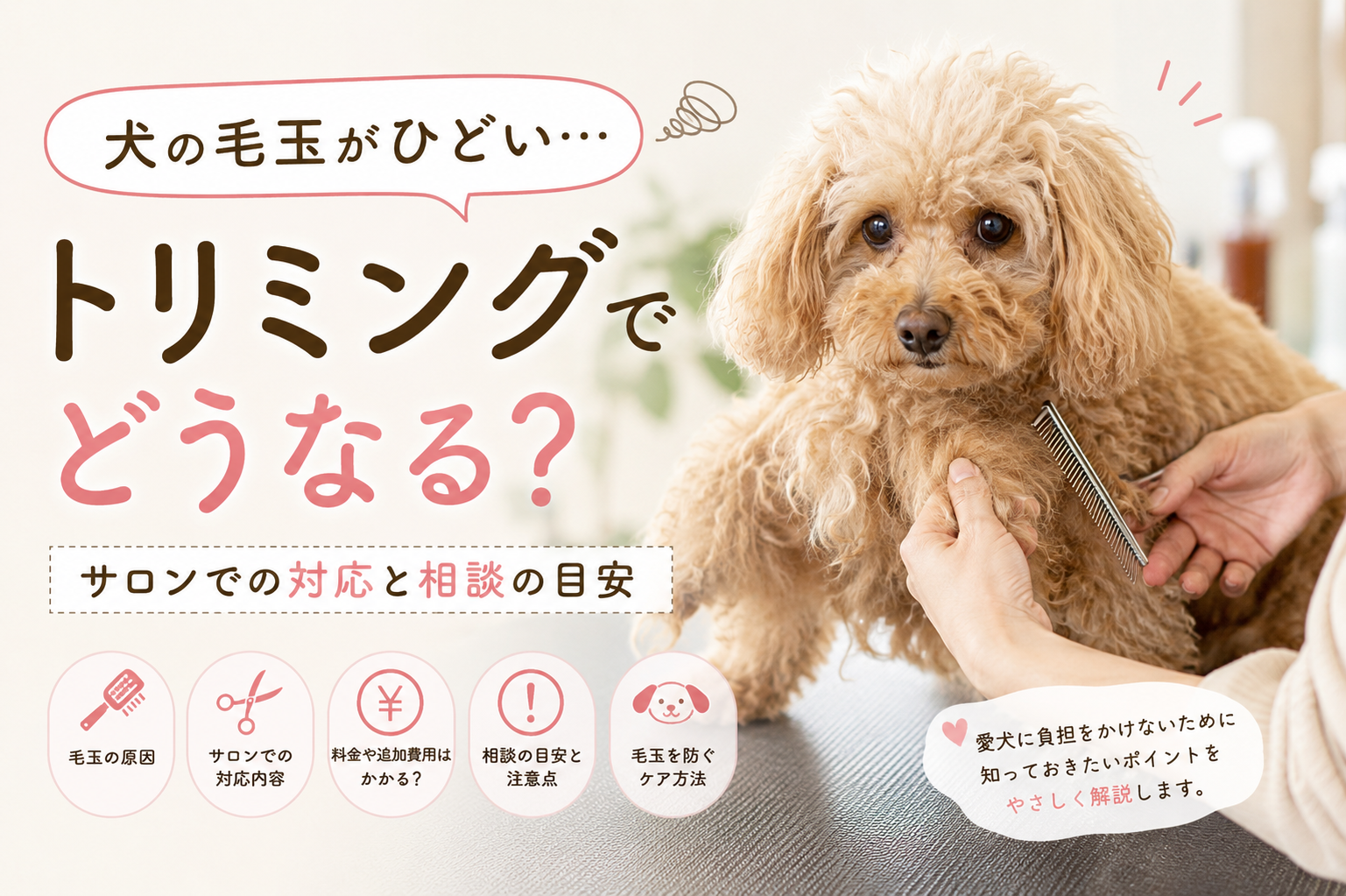 ダウンロード