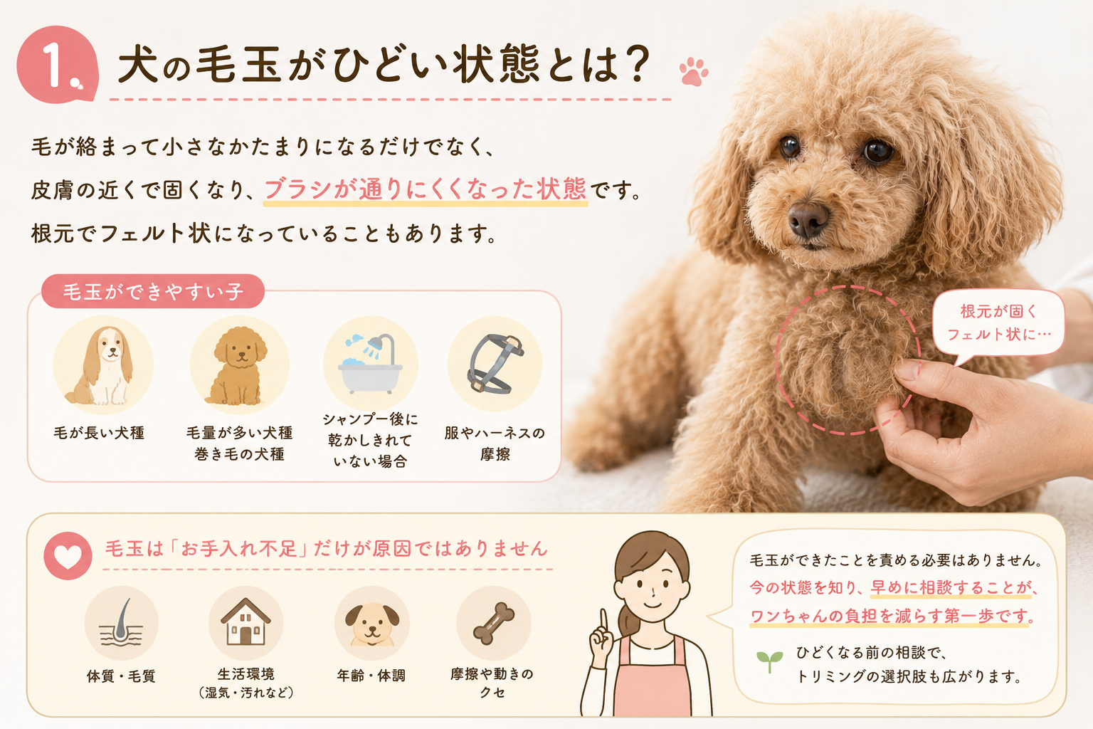 ダウンロード (7)