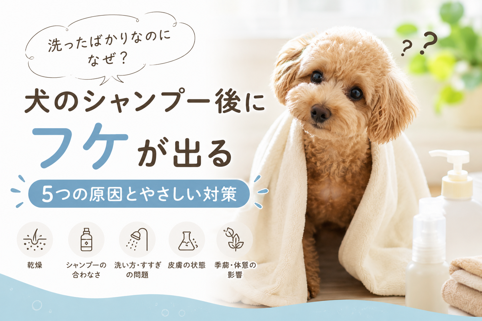 ダウンロード