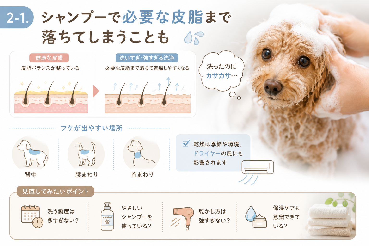 ダウンロード (7)