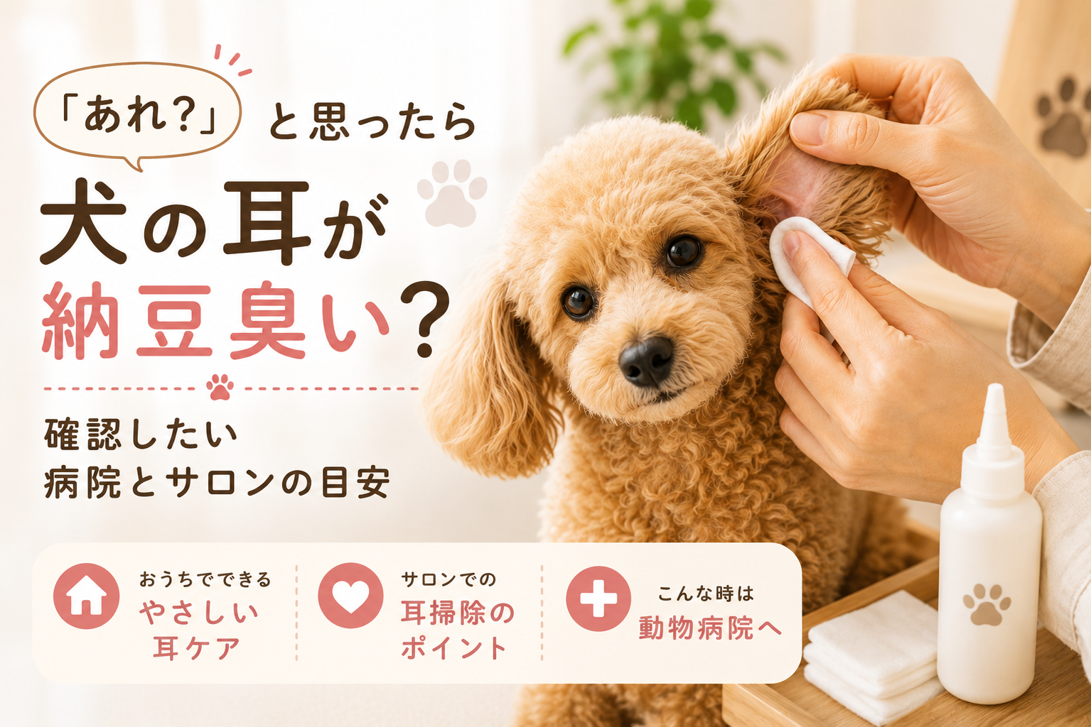 ダウンロード
