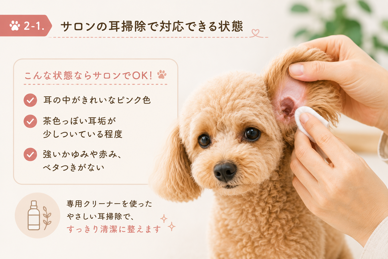 ダウンロード (7)