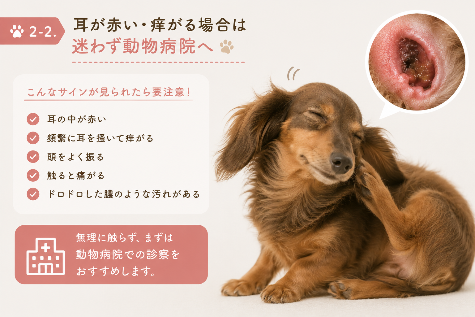 ダウンロード (8)