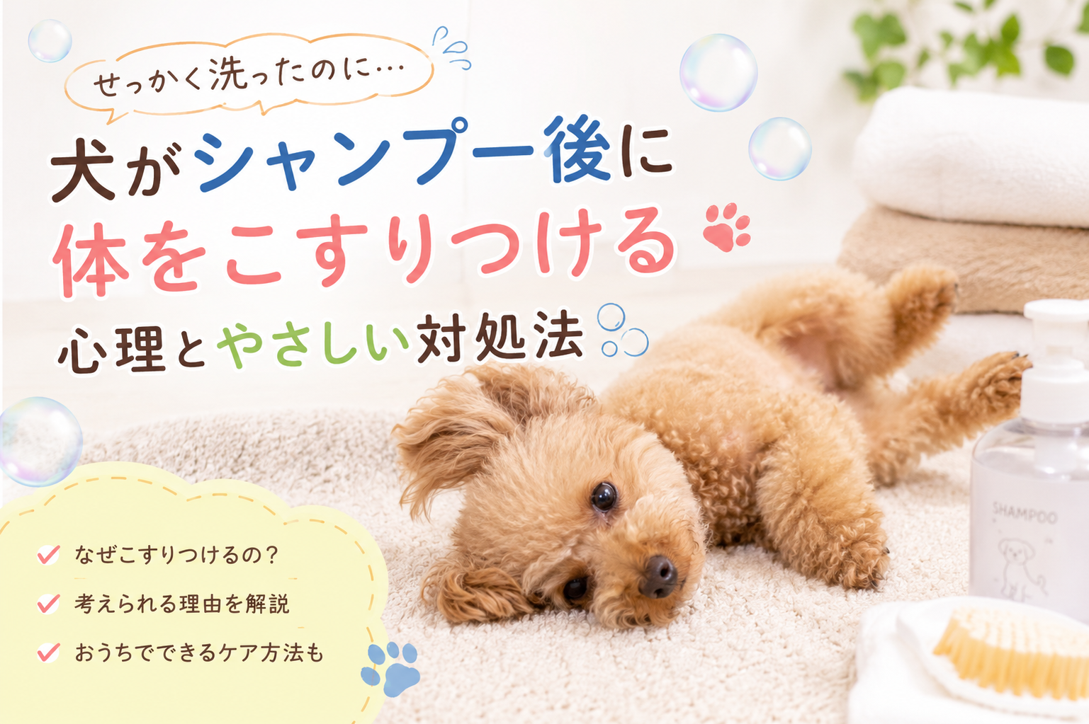 ダウンロード