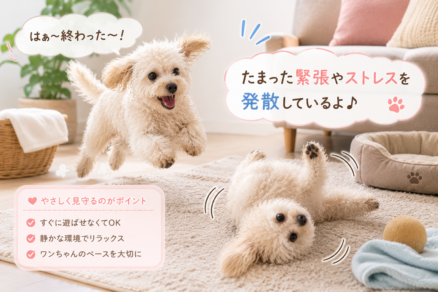 ダウンロード (7)