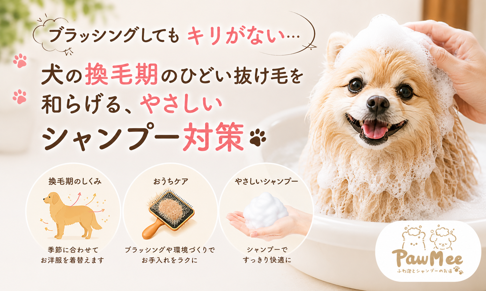 ダウンロード