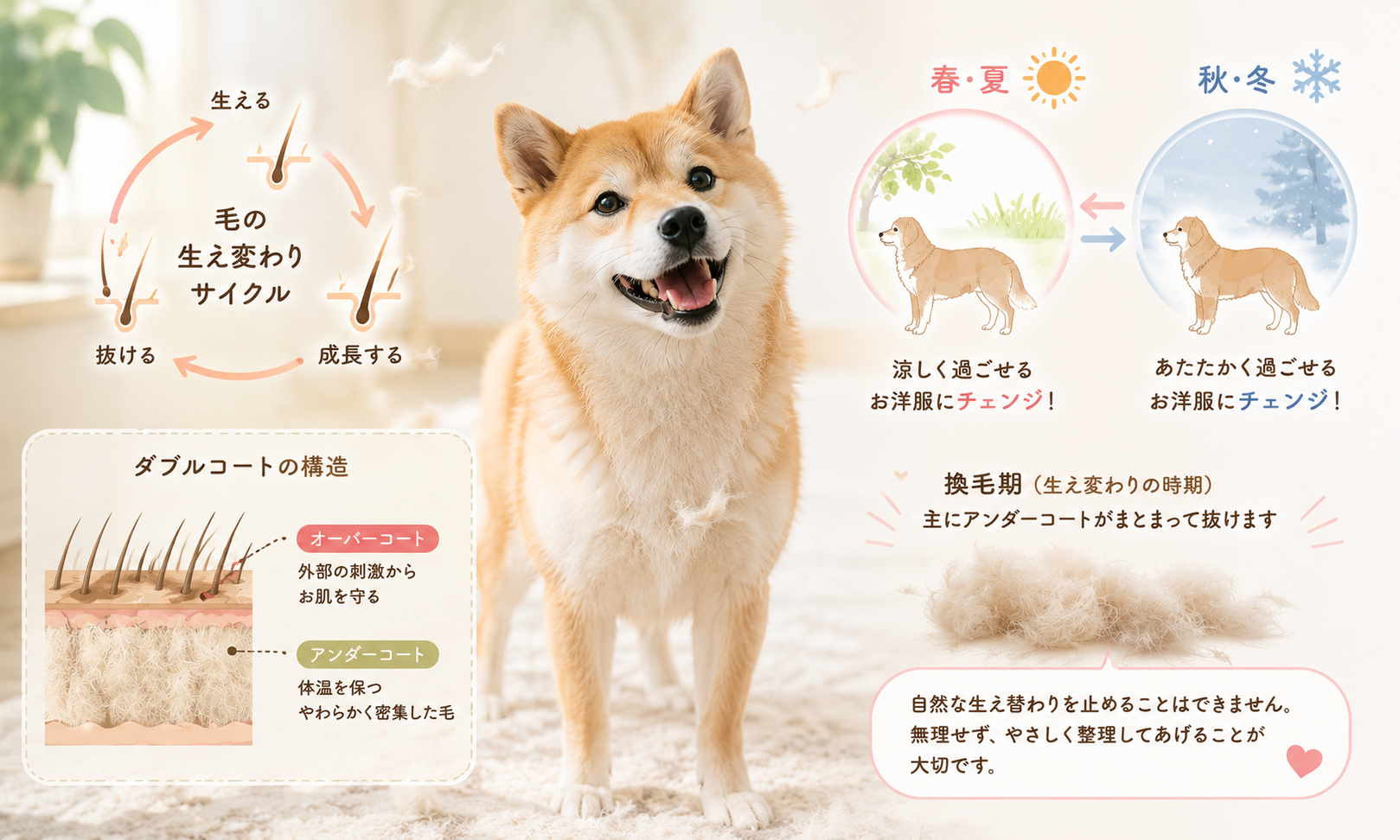 ダウンロード (7)