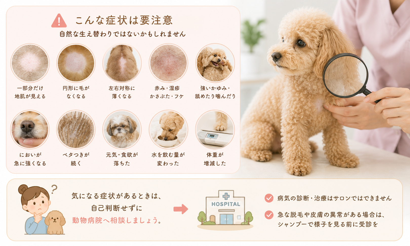 ダウンロード (7)