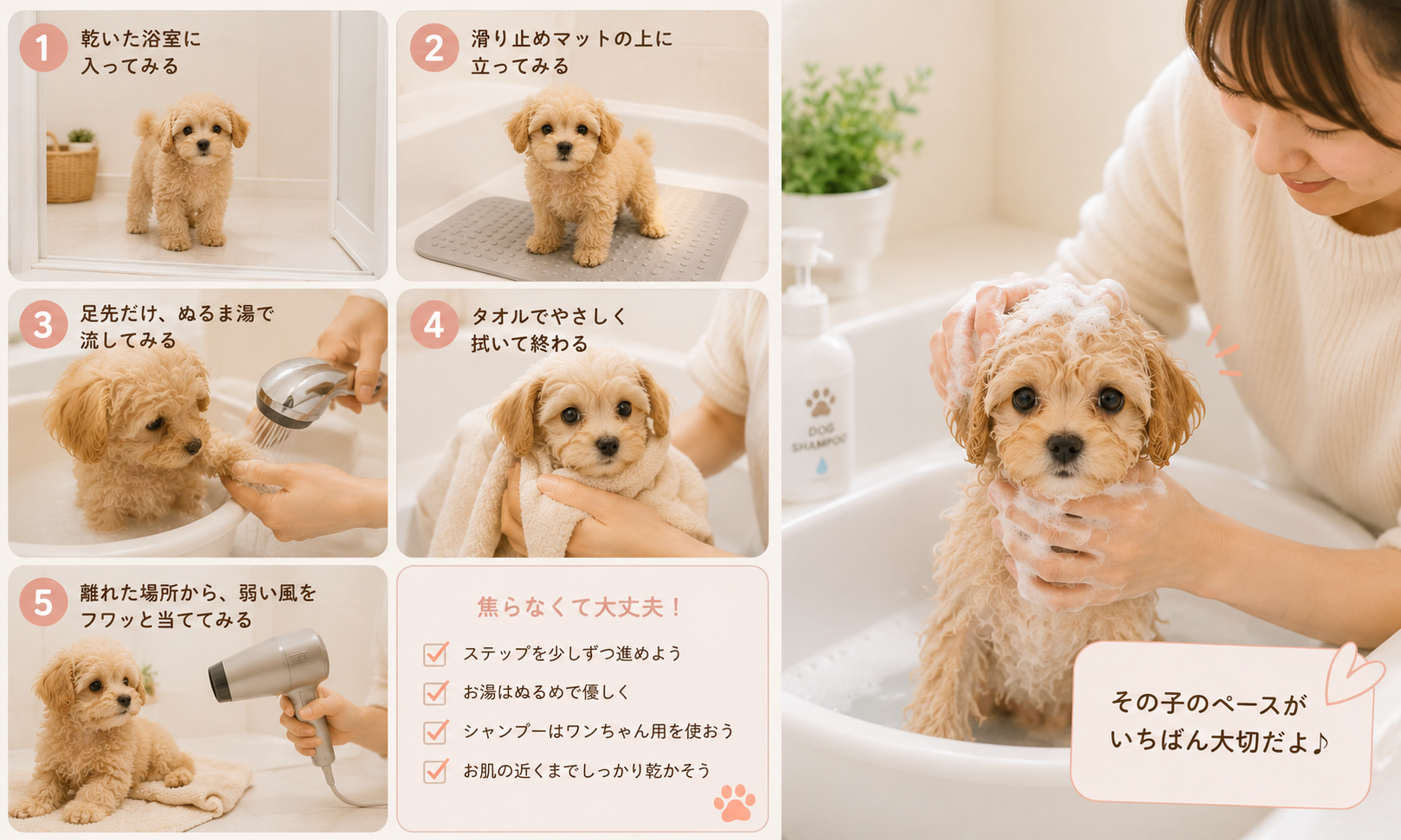 ダウンロード (8)