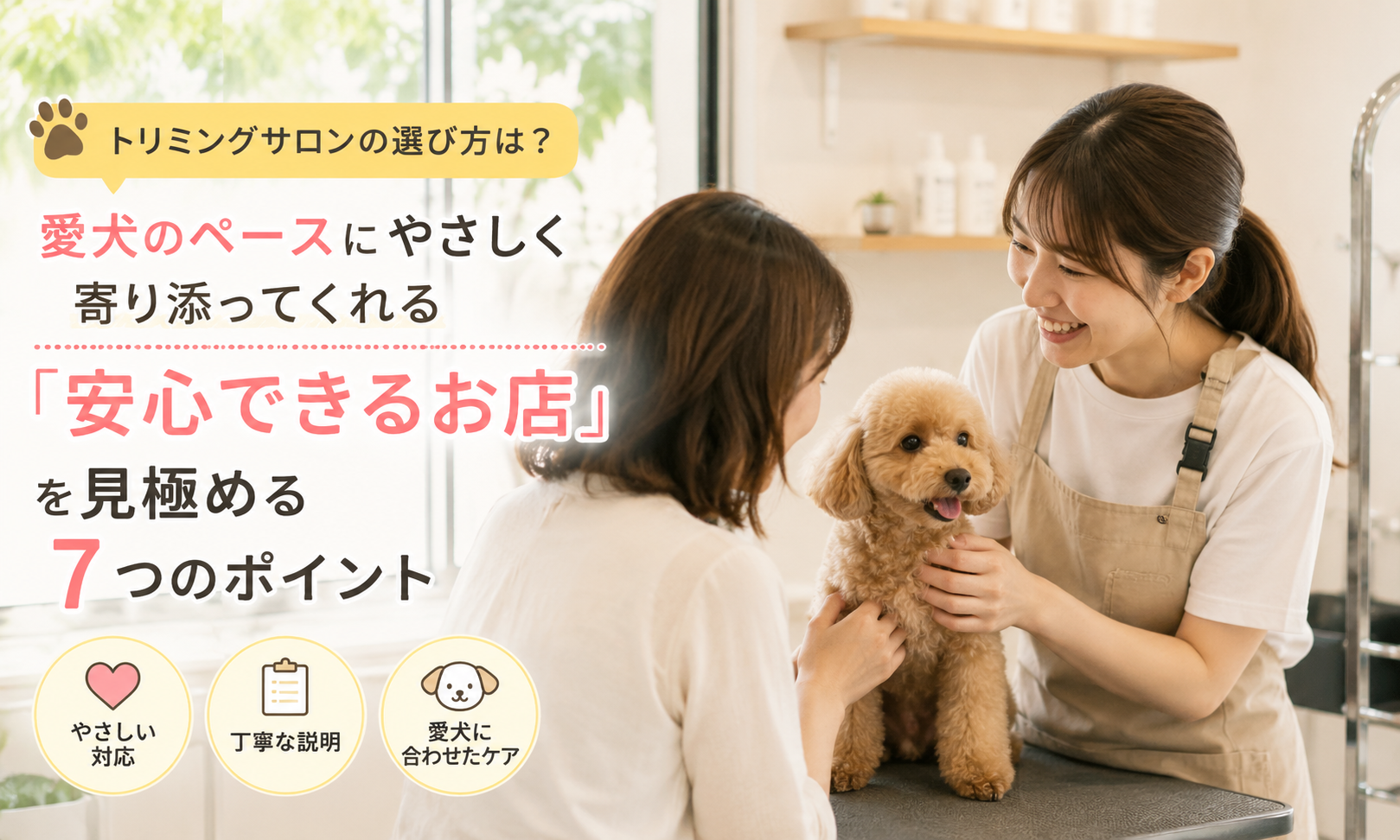 ダウンロード