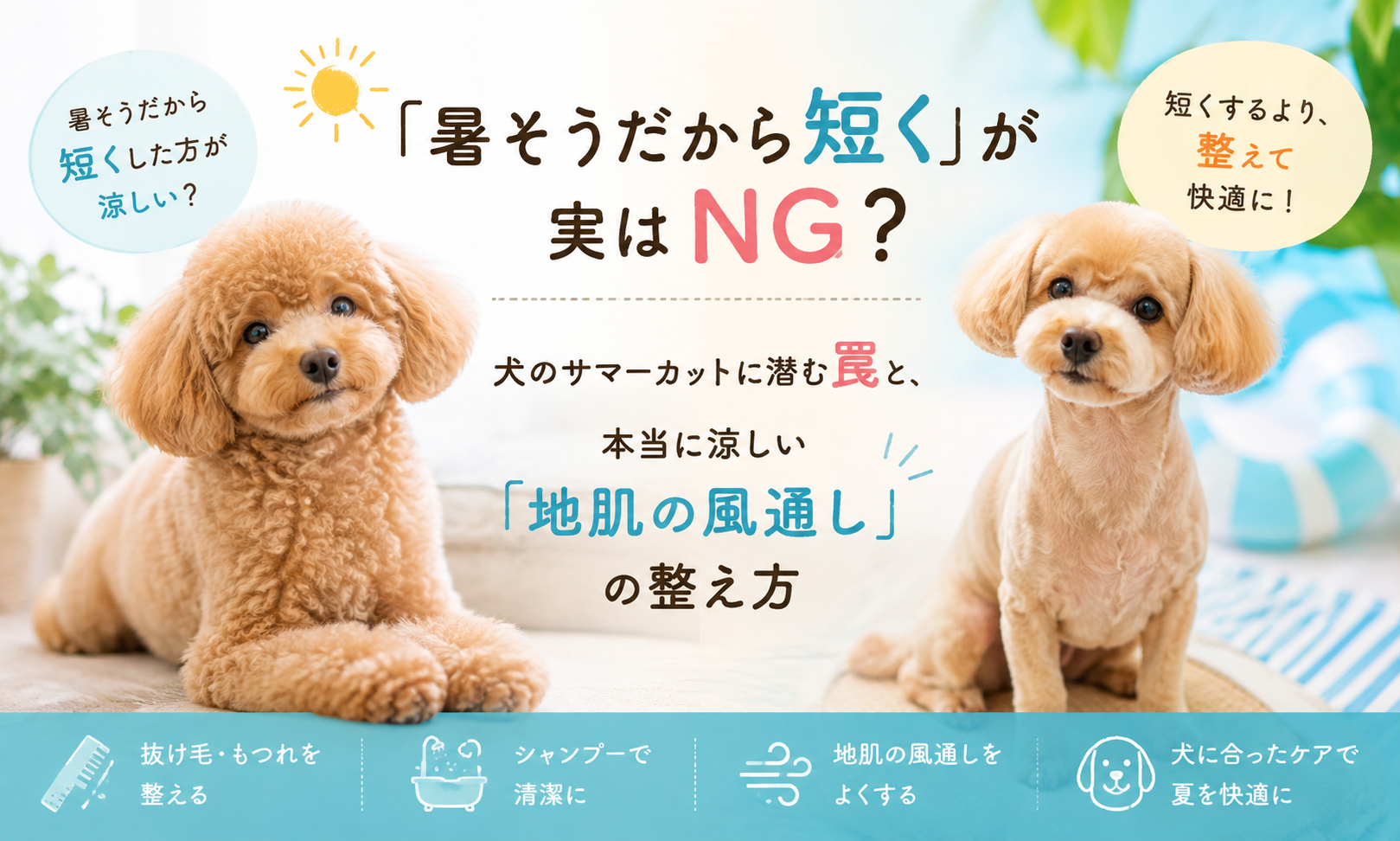 ダウンロード