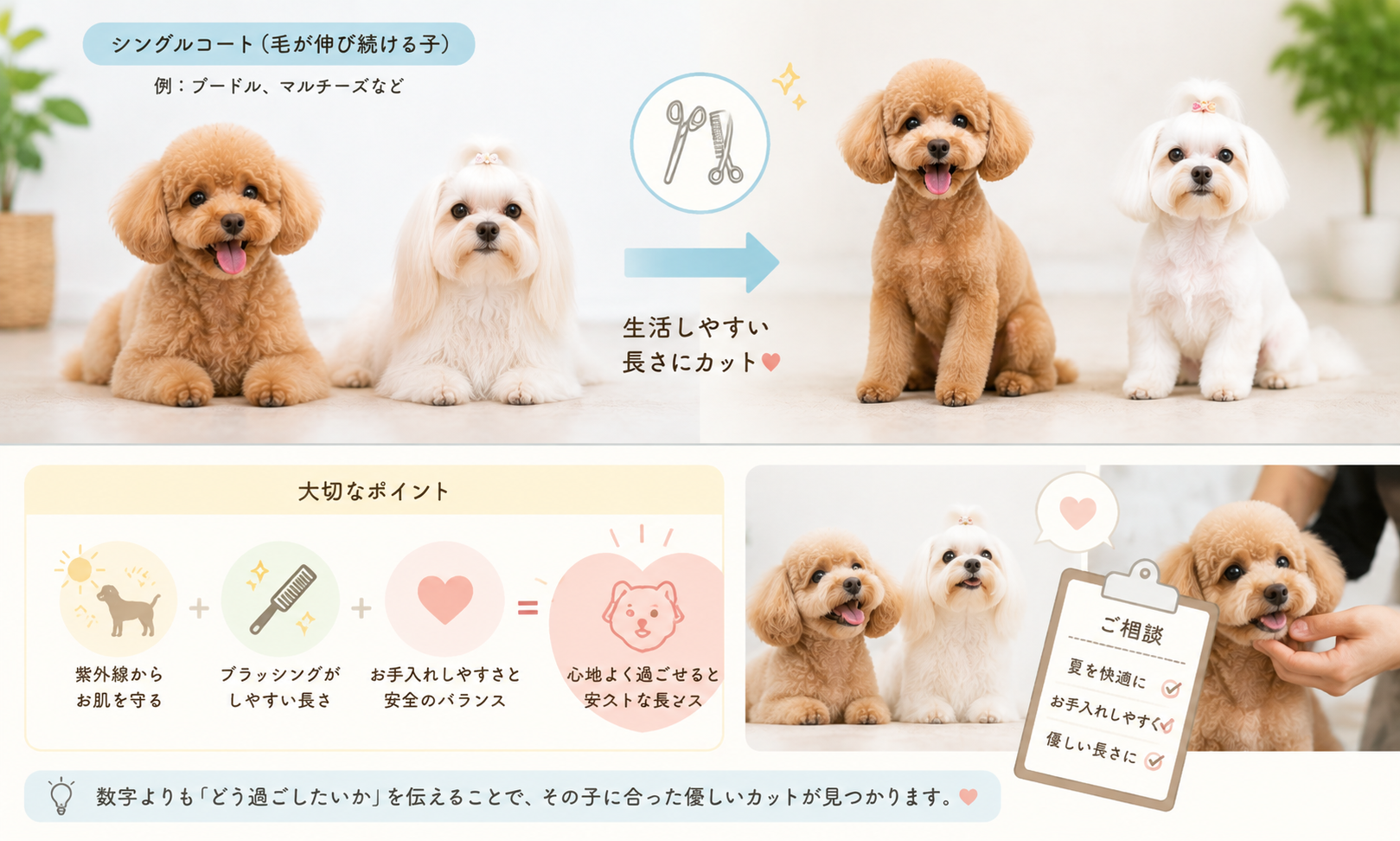 ダウンロード (8)